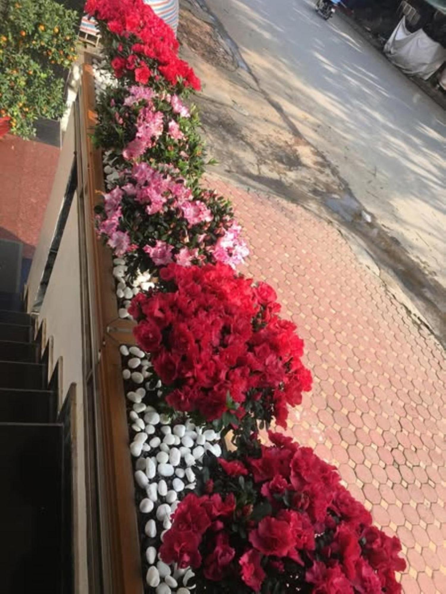 Hoa Viet Hotel カオバン エクステリア 写真